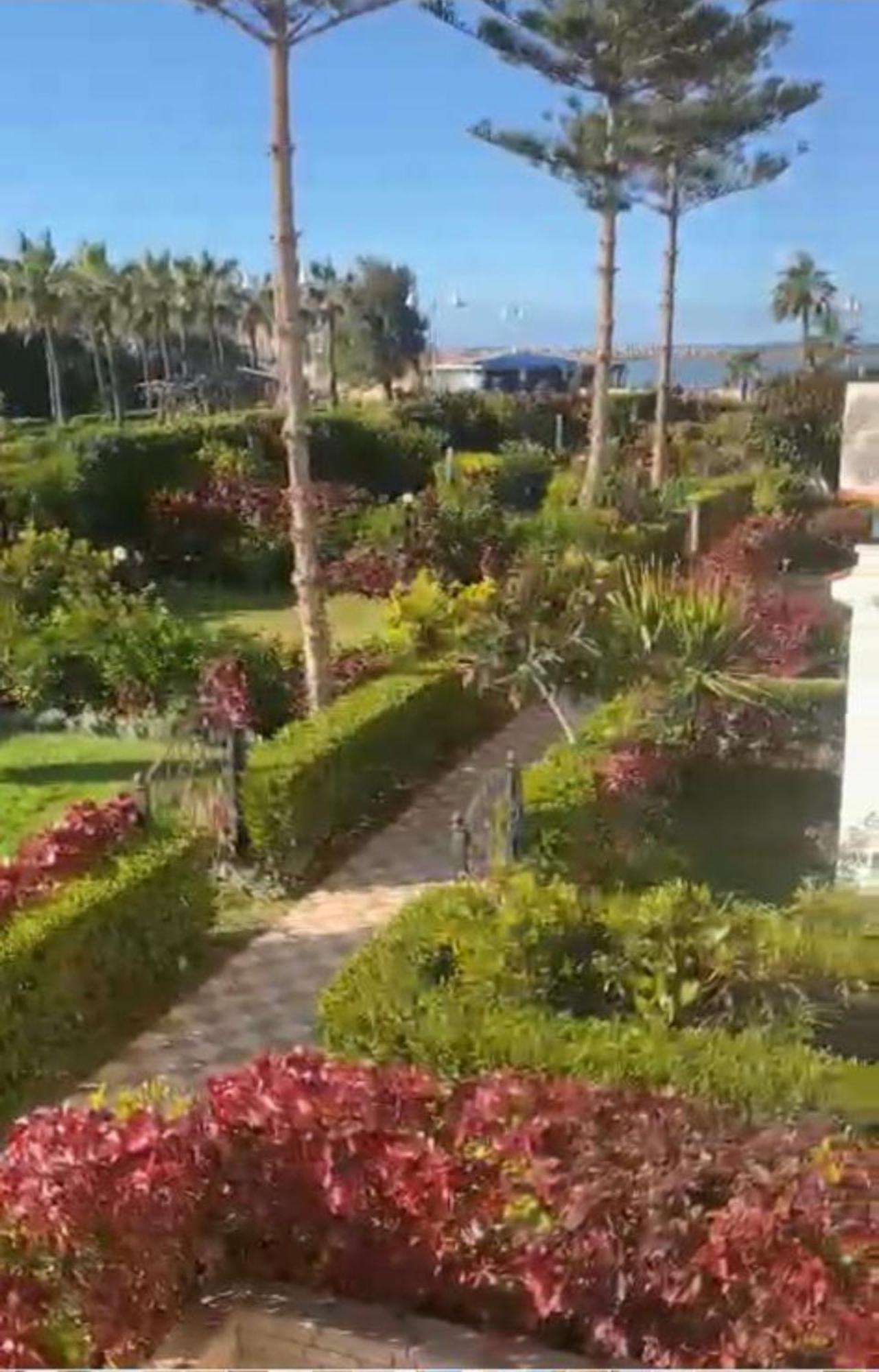 Salah Eldin 2 Bed Super Lux , Garden&sea View, First Floor , Family Only سوبر لوكس دور اول المعموره الشاطىء بجوار المنتزه Mamoura مع كارنيهات الدخول طول السنه و الشاطىء الخاص من اول مايو لنهايه اكتوبر للعائلات Alexandrie